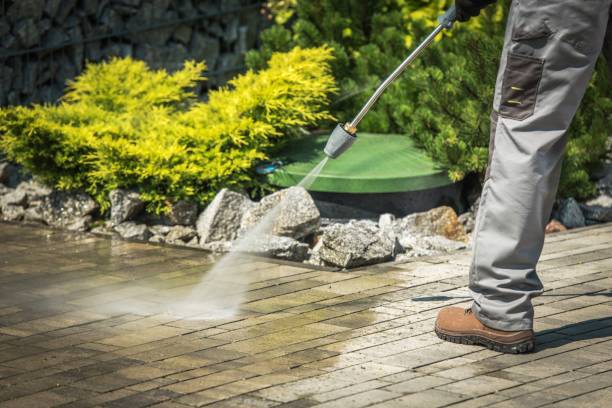Best Gutter Cleaning  in West Fairview, PA